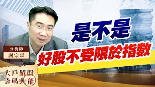 是不是 好股不受限於指數 (圖)