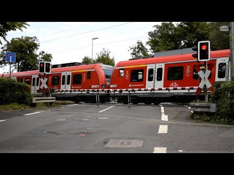 ET 423 der S-Bahn Frankfurt auf der S6 nach Friedberg am BÜ Lachweg in Eschersheim