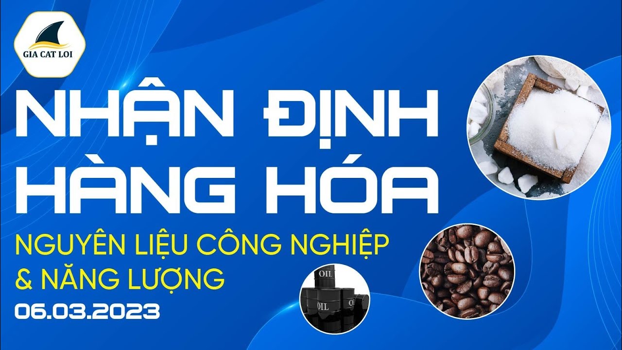 Nhận Định Thị Trường Năng Lượng & Nguyên Liệu Công Nghiệp Ngày 06/03/2023
