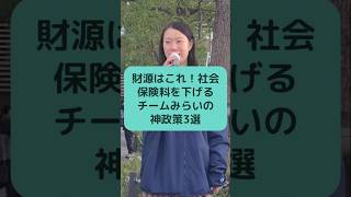 財源はこれ！社会保険料を下げるチームみらいの神政策3選 #チームみらい