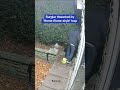 Burglar thwarted by 'Home Alone-style' trap