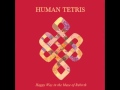 Human Tetris - Happy Way in the Maze of Rebirth ...