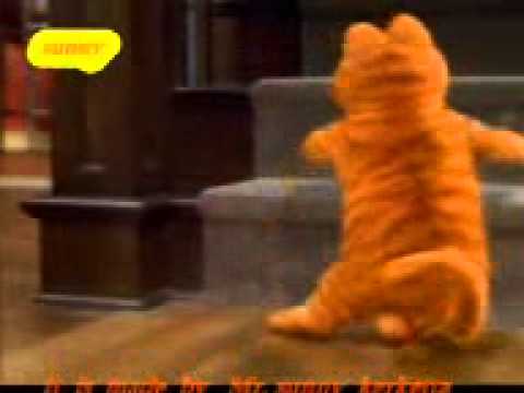 munni badnam cat dog dance