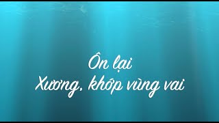 Ôn lại xương, khớp, dây chằng khớp vai