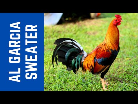 Al Garcia | Carrie Chua | Jeyshi Dimafelix