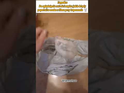 Zobacz jak nie należy kupować zwierząt w sklepie zoologicznym