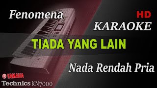 Download lagu TIADA YANG LAIN - FENOMENA  ( NADA RENDAH PRIA ) || KARAOKE mp3
