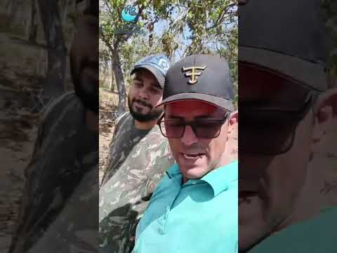 Gameleira Goiás. Poção fone, 62993289329