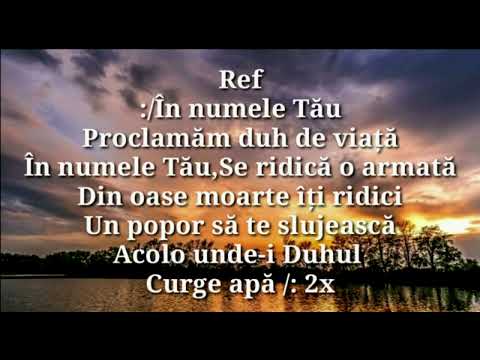 Negativ-în numele tau proclamam| Alin si Samuel din Barbulesti