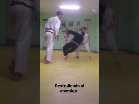 karate e aikido cárdenas matanzas cub