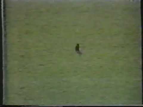 CORINTHIANS 1X0 Internacional Limeira (Paulistão 1987)