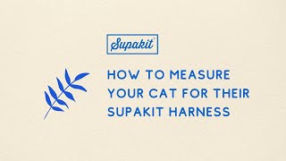 The Supakit Cat Harness | How To Measure Your Cat