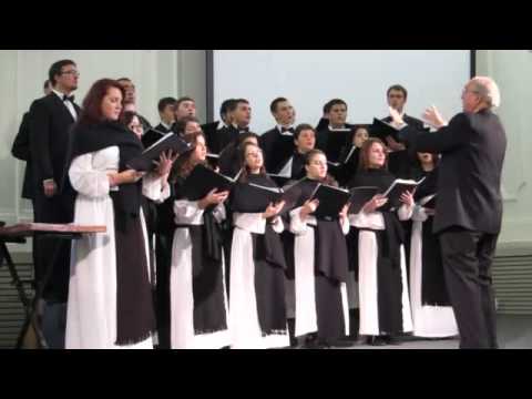 Corul Cantores Amicitiae in Elvetia, Rüti 2011