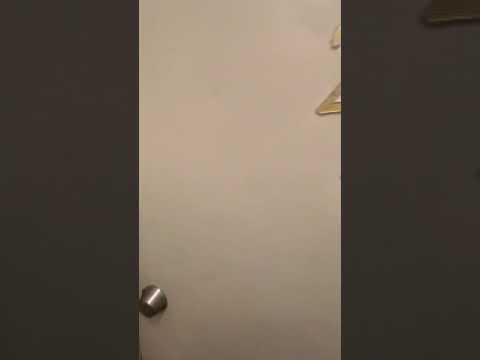 4521 Centre Avenue - Video 2 of 2