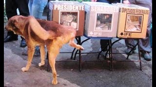 Votaciones, NO ELECCIONES 2018, más de lo mismo.