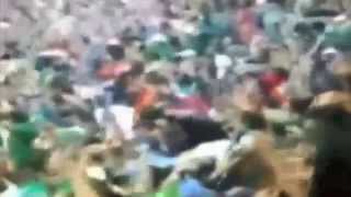 MEXICO CAMPEON! (Angel Chilango)