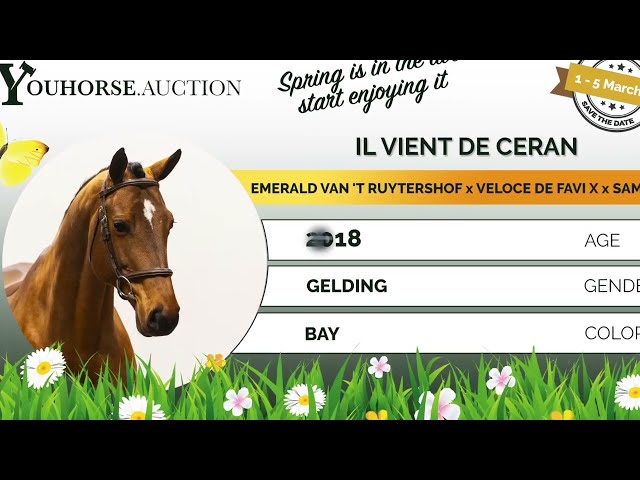 Il Vient de Ceran showvideo