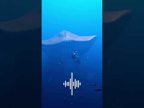 Top 5 Scariest Ocean Sounds In The World