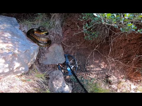 Zengin Bölgede Define Kasası Peşine Düştük !!!