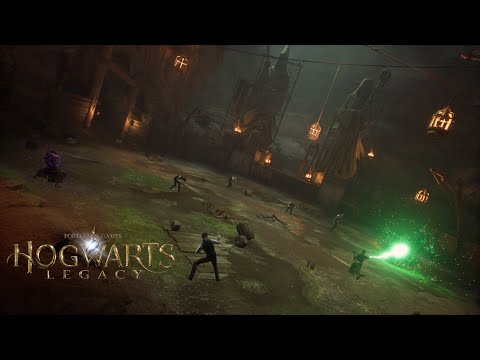 Hogwarts Legacy: Dark Arts Battle Arena: No Damage