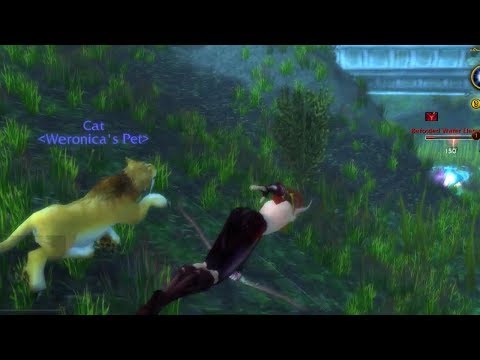 World Of Warcraft Quest Info: Simmer Down Now