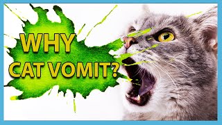Why my cat throwing up - EXPLAINED!