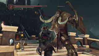 【ダークソウル２】対人勢のズッコケ攻略・18。（寄り道～ドラングレイグ城まで）