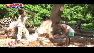 stop cutting trees  #deforestation #save trees #save environment #ecology #v6tv #save forest