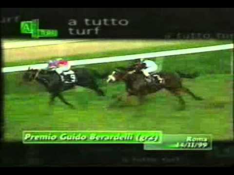 Shibuni's Falcon - Pr Berardelli (GR2)