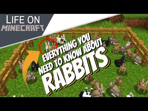 Killer Bunny Revealed: Ultimate Rabbit Guide!