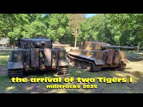 Militracks Overloon 2025 - the arrival of two tigers I