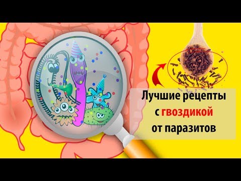Гвоздика от паразитов и глистов: как принимать, полезные свойства и противопоказания