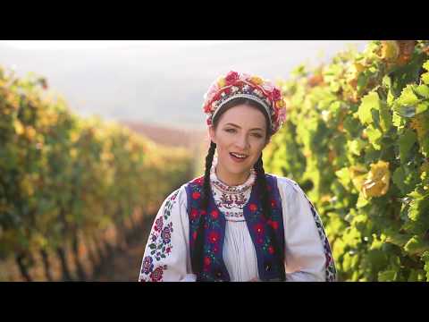 Denisa Rolnic - Păsărică galbănă