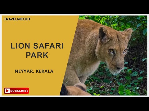 Neyyar Wildlife Sanctuary in Kallikkad, Thiruvananthapuram, Kerala -  