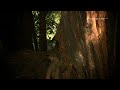 Michael Hoppe - Romance For Violin (LandscapeHD)