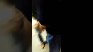 Papi Sánchez cali enero 10 de 2018. Cemtrosur