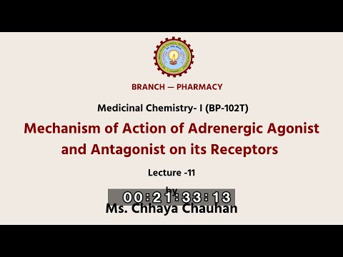 Mechanism of Action of Adrenergic Agonist and Antagonist on its Receptors