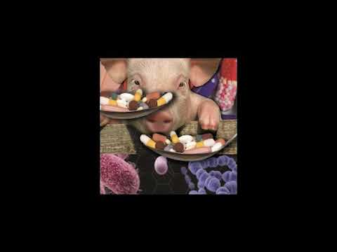 Trap Macior ft. Hindu$ - KOK4INA [prod. Puges]