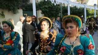 preview picture of video 'Carnaval  2012 - Almanat u. Torre del Mar'