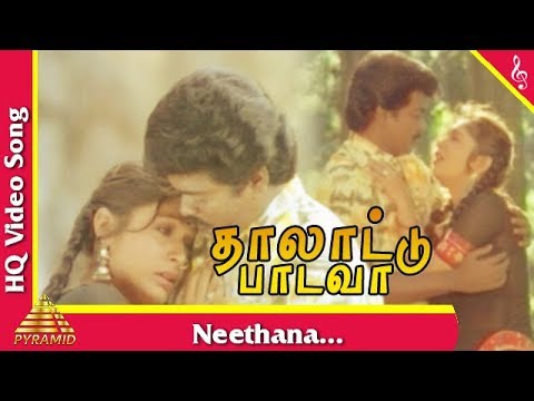 Neethana neethana nenje neethana Video Song | Thalattu Padava| Parthiban | Rupini | Pyramid Music