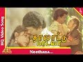 நீதானா பாடல் தாலாட்டு பாடவா தமிழ் பட�