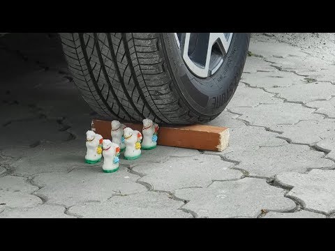 EXPERIMENT: CAR DACIA DUSTER VS SHEEPS