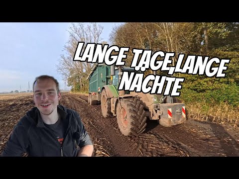 #vlog156 Nonstop in action: Corn stubble removal & first grain corn harvest for the biogas plant