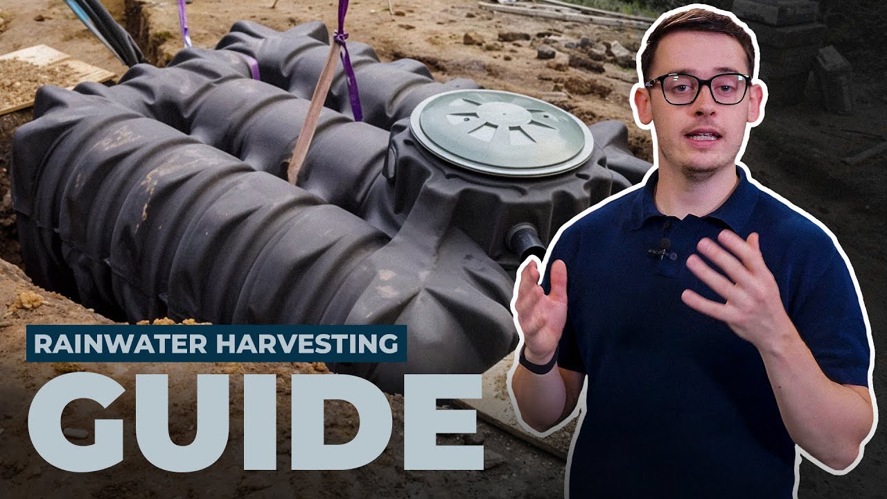 Everything You Need to Know about Rainwater Harvesting