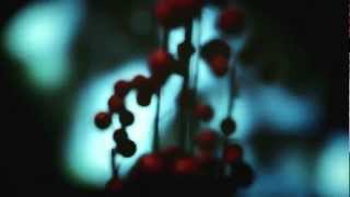 Kilian   Just Can&#39;t Make It Official Music Video