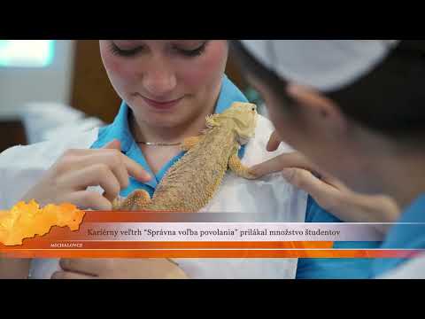 Správna voľba povolania v Michalovciach 