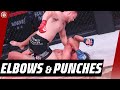 POWERFUL Elbows and Punches ? Logan Storley vs A.J. Matthews | Bellator MMA