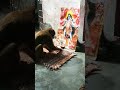 Is Mandir Ki Video Bahut Sari Padi Hai Subscribe Karke Dekho Ya