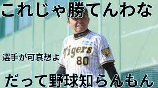 日本で最も美しい野球スキル ⚾✨