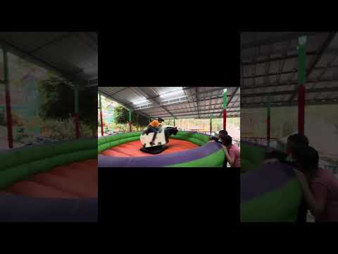 AMAR, ADI AND KUTTI 2024